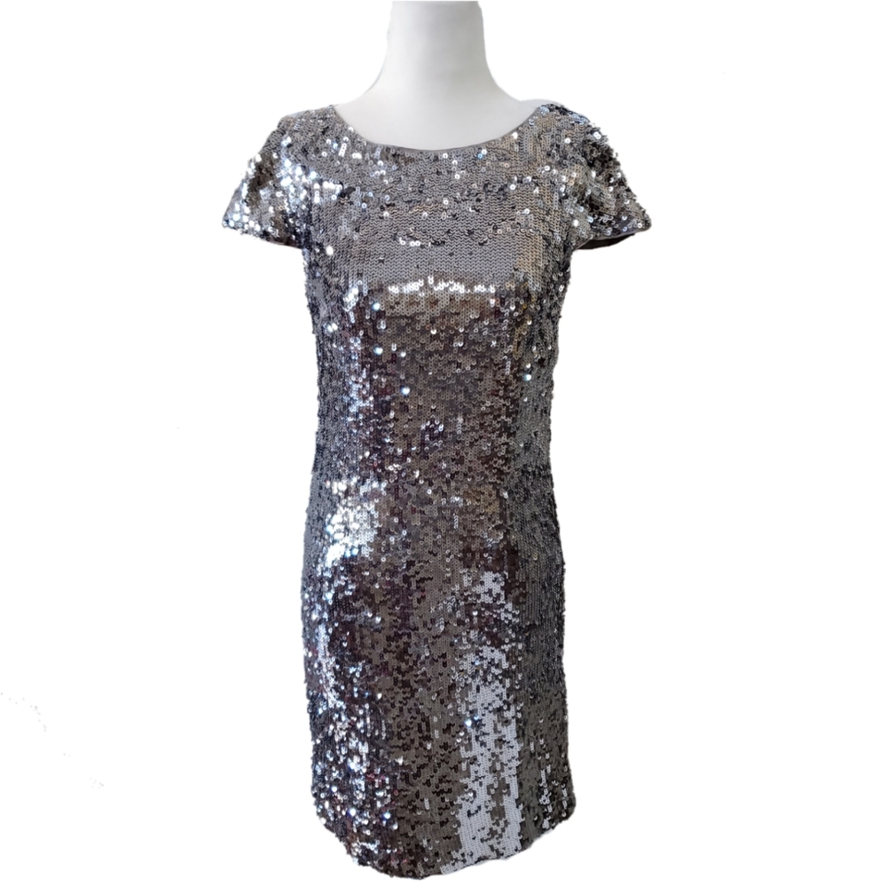 Banana Republic Silver Sequin Dress